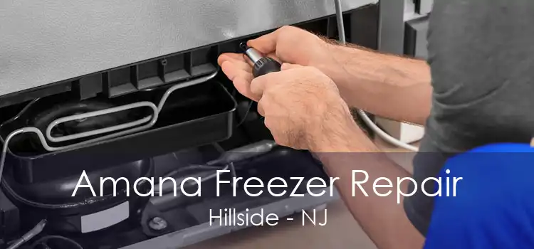 Amana Freezer Repair Hillside - NJ