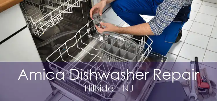 Amica Dishwasher Repair Hillside - NJ