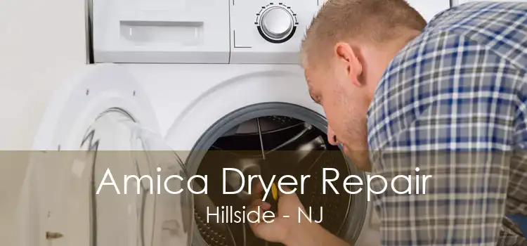 Amica Dryer Repair Hillside - NJ