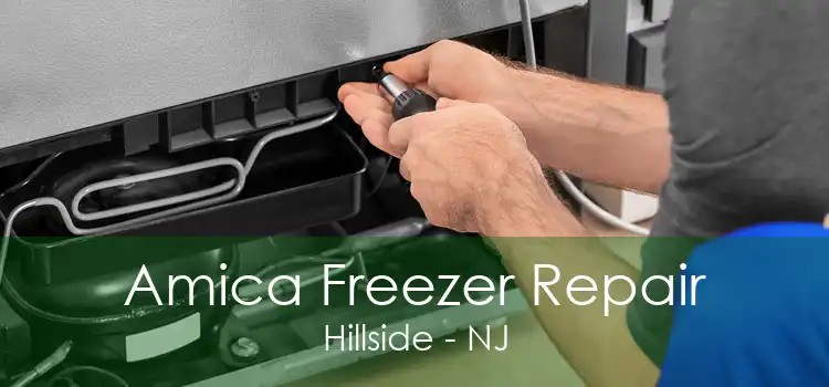 Amica Freezer Repair Hillside - NJ