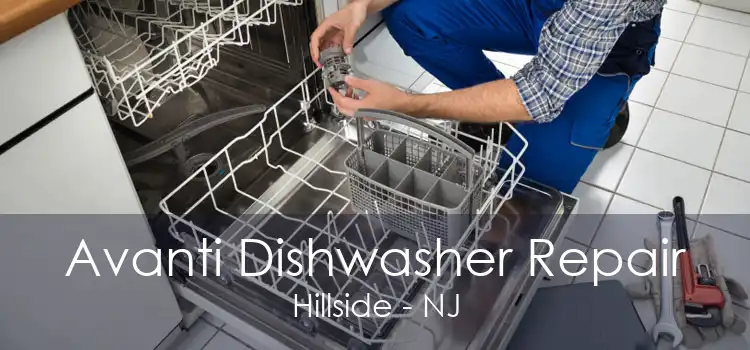 Avanti Dishwasher Repair Hillside - NJ