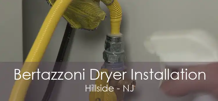 Bertazzoni Dryer Installation Hillside - NJ