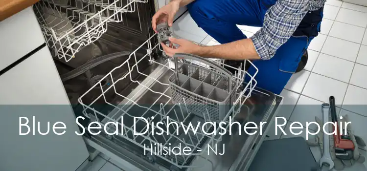 Blue Seal Dishwasher Repair Hillside - NJ