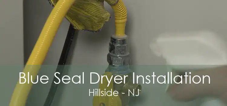 Blue Seal Dryer Installation Hillside - NJ