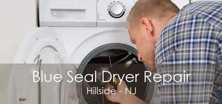 Blue Seal Dryer Repair Hillside - NJ