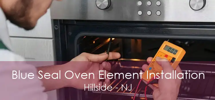 Blue Seal Oven Element Installation Hillside - NJ