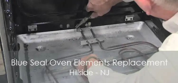 Blue Seal Oven Elements Replacement Hillside - NJ