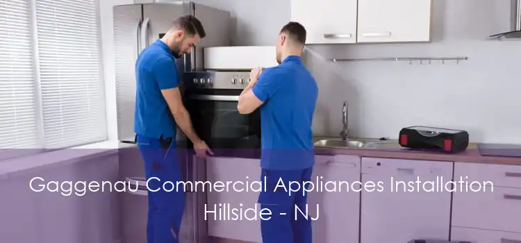 Gaggenau Commercial Appliances Installation Hillside - NJ