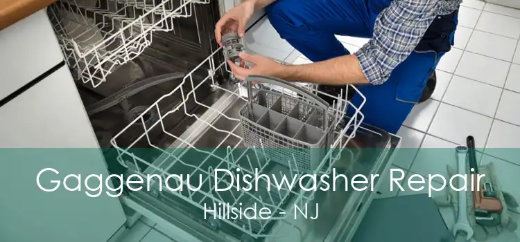 Gaggenau Dishwasher Repair Hillside - NJ