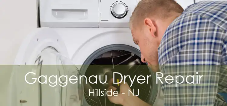 Gaggenau Dryer Repair Hillside - NJ