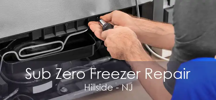 Sub Zero Freezer Repair Hillside - NJ