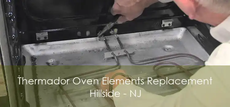 Thermador Oven Elements Replacement Hillside - NJ