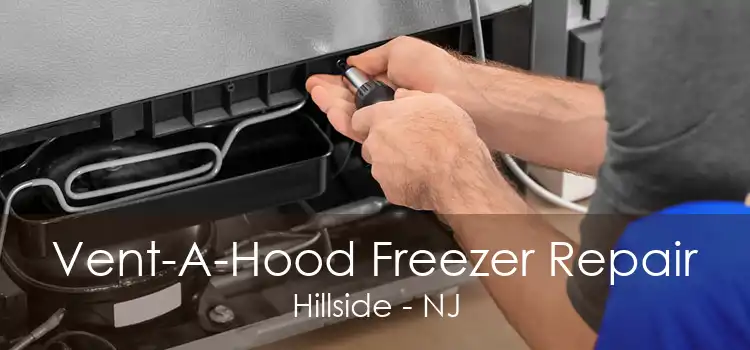 Vent-A-Hood Freezer Repair Hillside - NJ