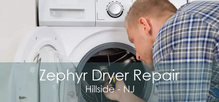 Zephyr Dryer Repair Hillside - NJ